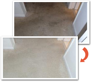 Carpet Cleaning Wylie TX